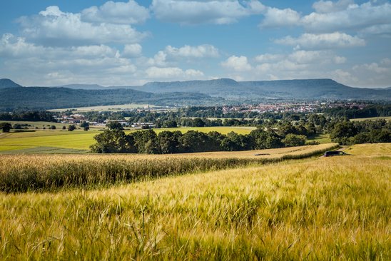 Blick von Stockach nach Südwesten zum markanten Albtrauf;  Bild: Angela Hammer