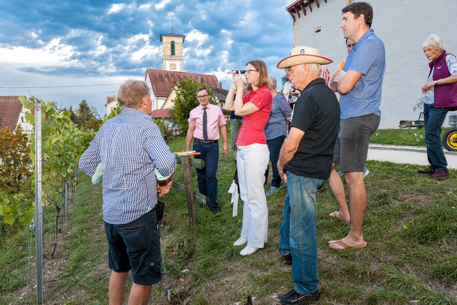 Bürgerspaziergang mit dem Bürgermeister: im Schlossweingarten (Bild: Angela Hammer)
